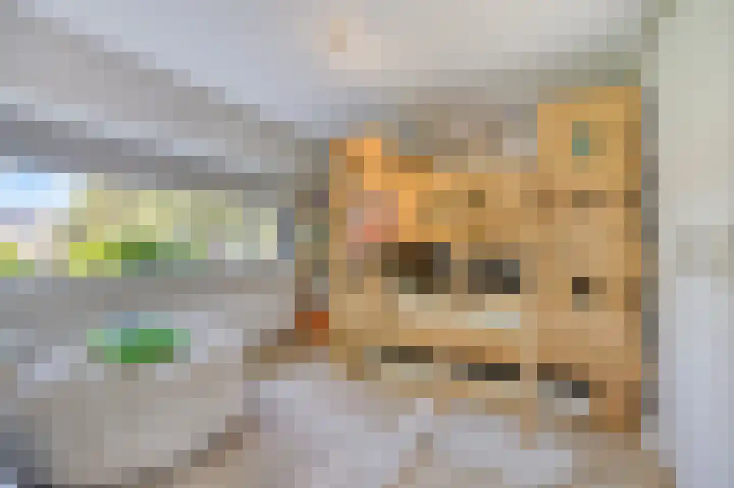 Lijsterbesstraat 18 Schagen thumbnail 20