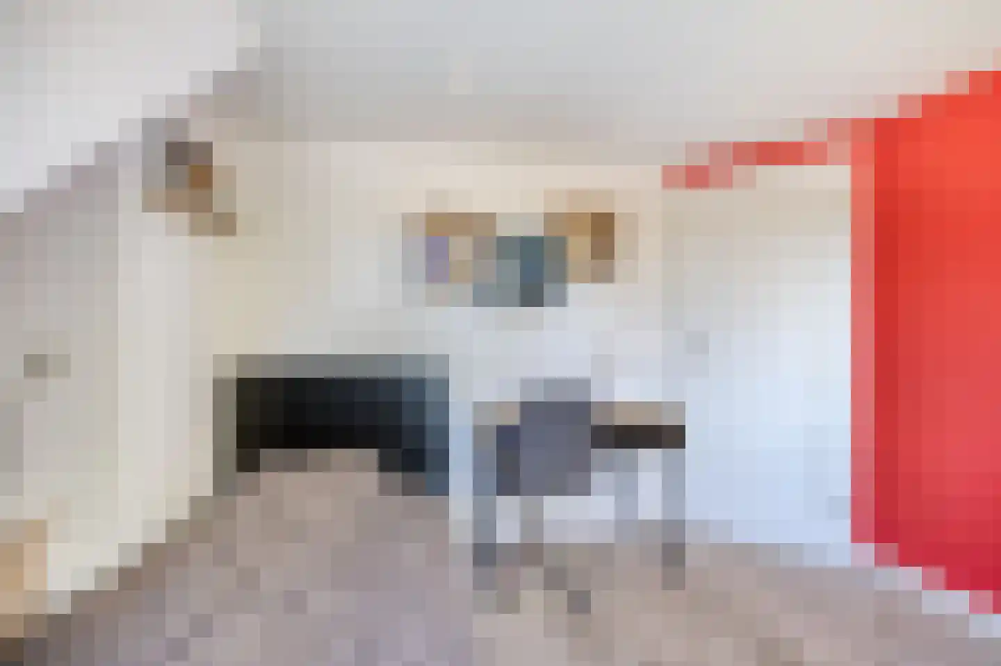 Lijsterbesstraat 18 Schagen thumbnail 30