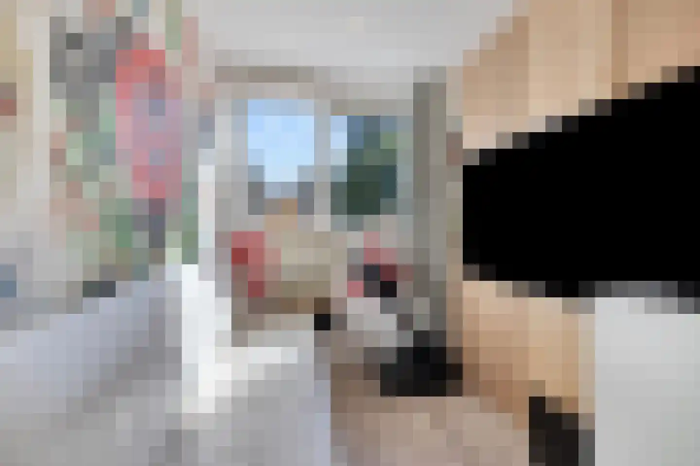 Lijsterbesstraat 18 Schagen thumbnail 33