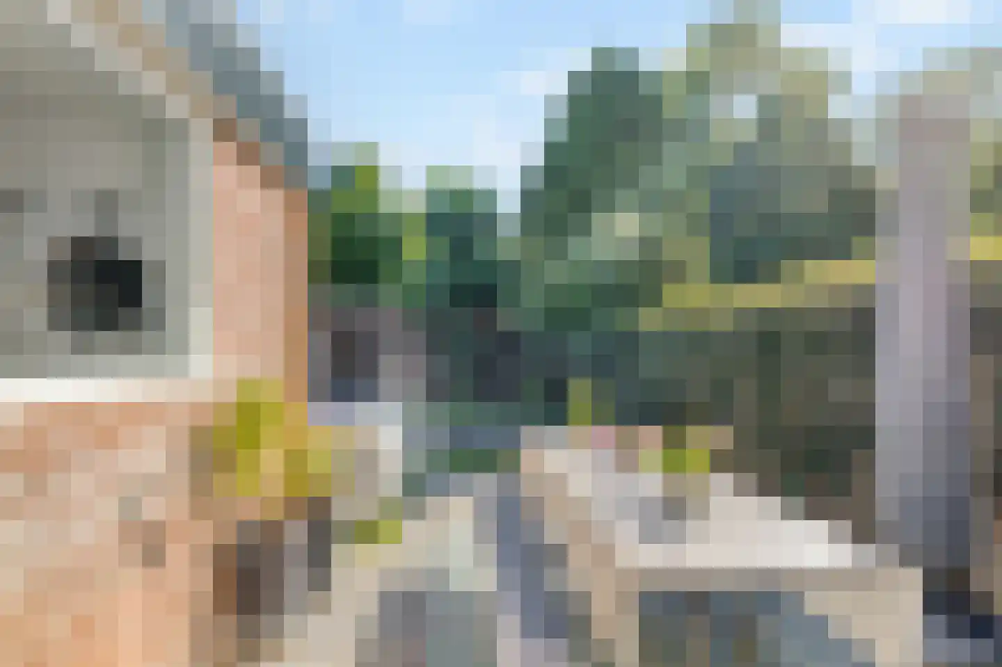 Lijsterbesstraat 18 Schagen thumbnail 34