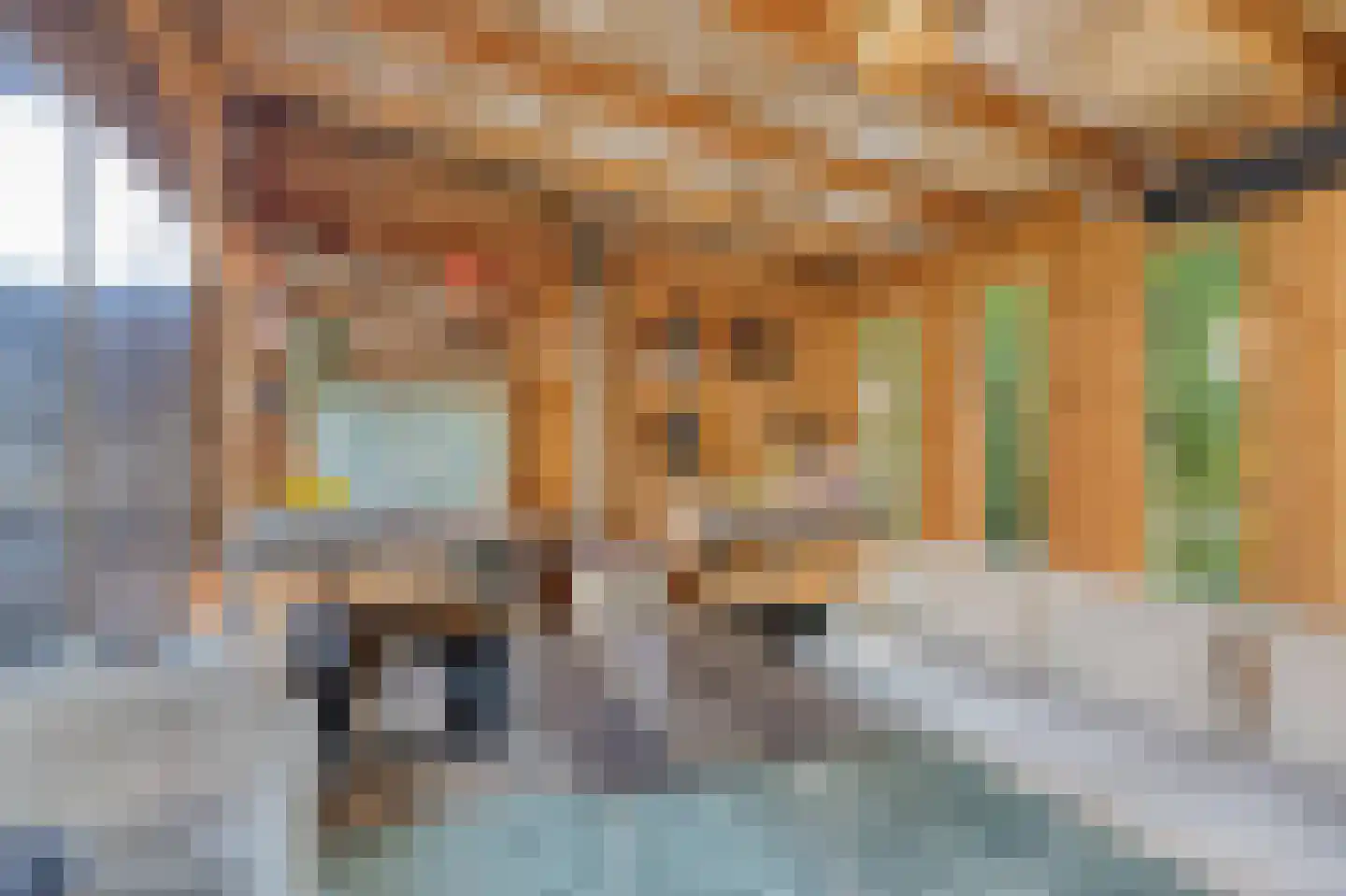 Lijsterbesstraat 18 Schagen thumbnail 37