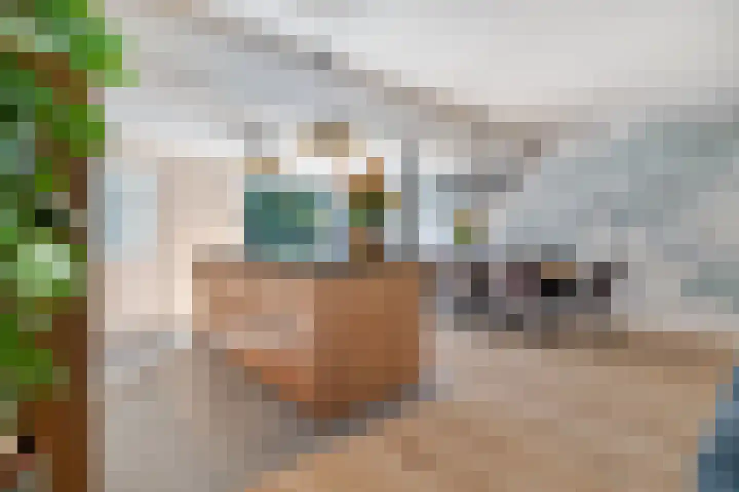 Lijsterbesstraat 18 Schagen thumbnail 4