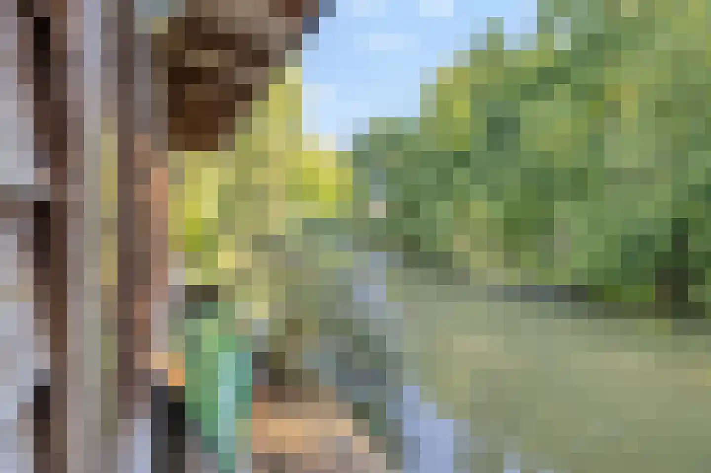 Lijsterbesstraat 18 Schagen thumbnail 40