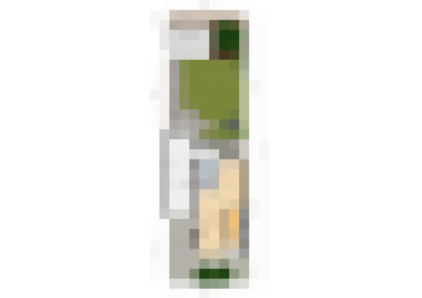 Lijsterbesstraat 18 Schagen thumbnail 47