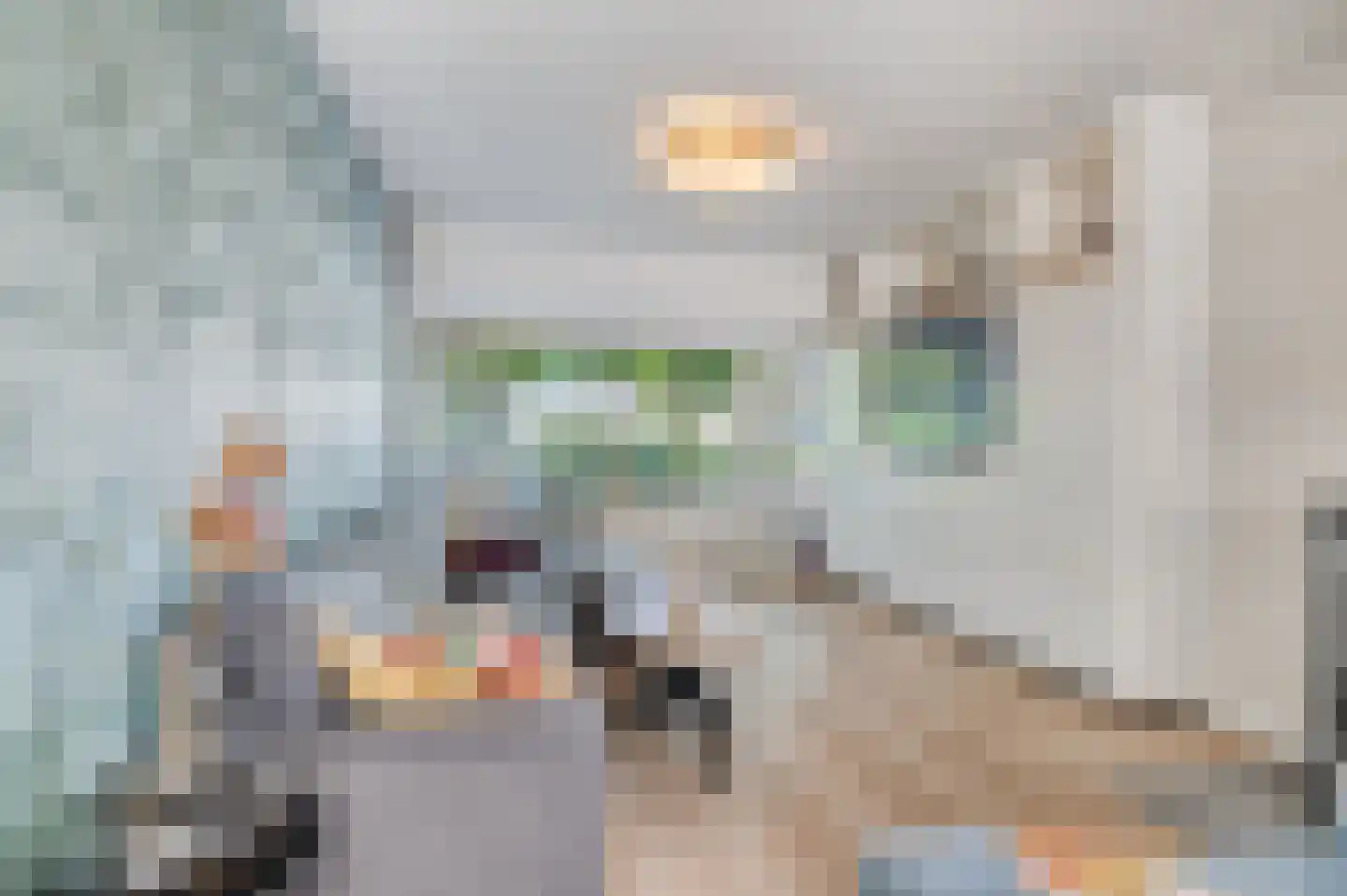 Lijsterbesstraat 18 Schagen thumbnail 6