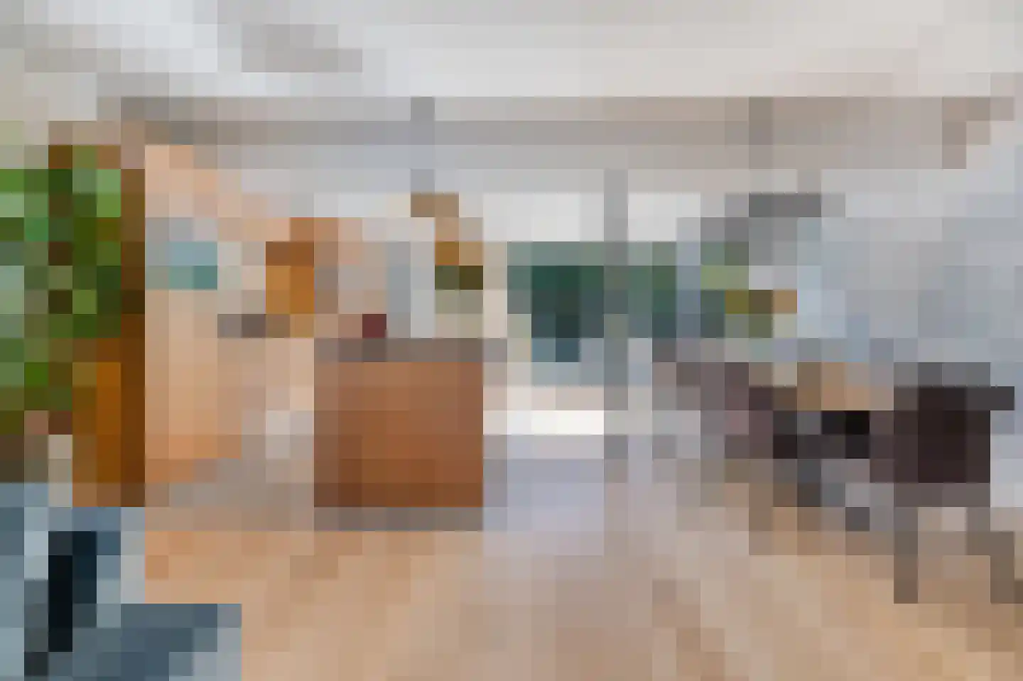 Lijsterbesstraat 18 Schagen thumbnail 9