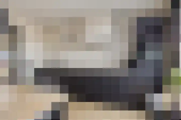 Lijsterbesstraat 19 Opheusden thumbnail 10