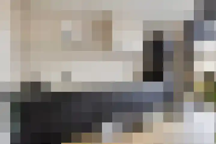 Lijsterbesstraat 19 Opheusden thumbnail 11
