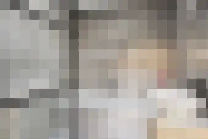 Lijsterbesstraat 19 Opheusden thumbnail 15