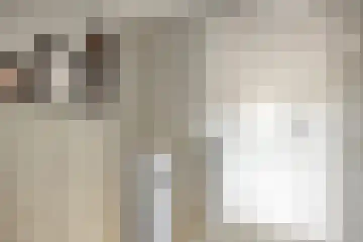 Lijsterbesstraat 19 Opheusden thumbnail 18