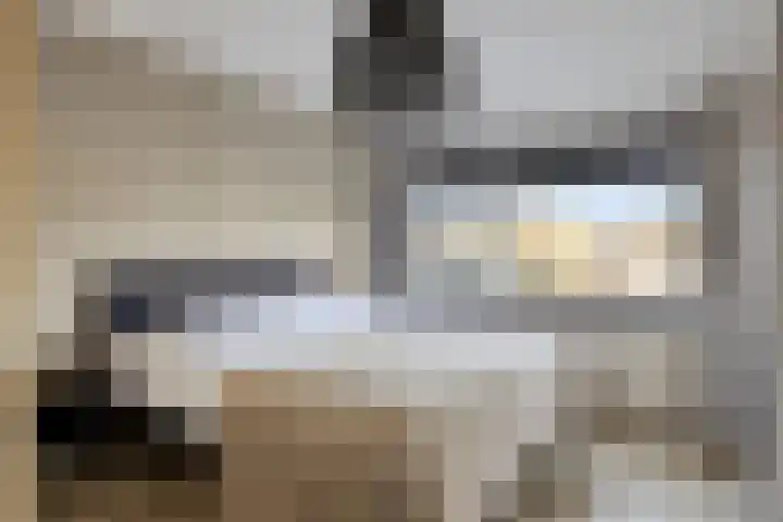 Lijsterbesstraat 19 Opheusden thumbnail 20