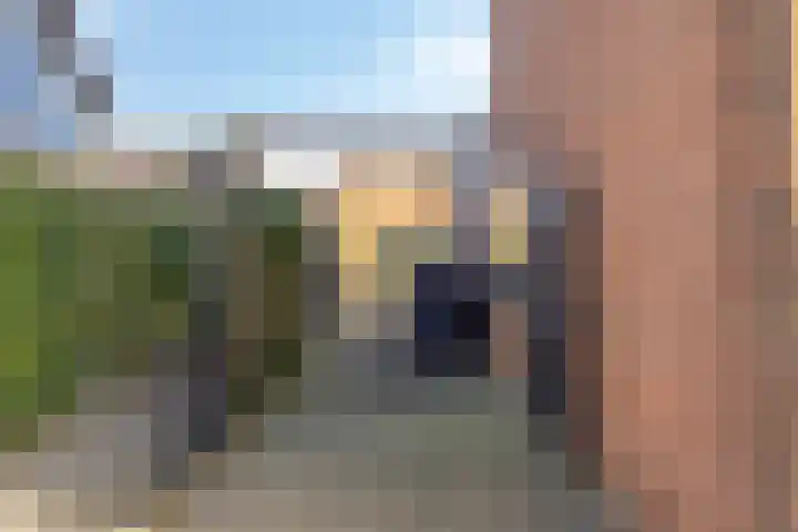 Lijsterbesstraat 19 Opheusden thumbnail 26