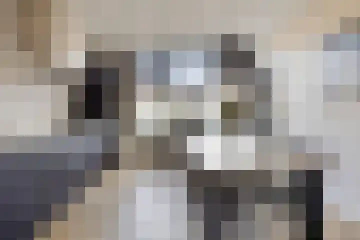 Lijsterbesstraat 19 Opheusden thumbnail 4