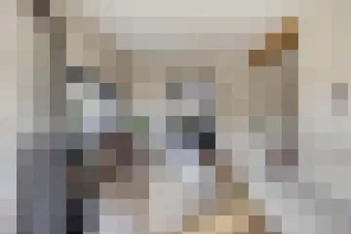 Lijsterbesstraat 19 Opheusden thumbnail 5