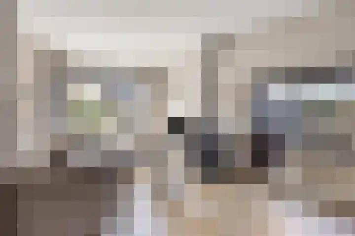 Lijsterbesstraat 19 Opheusden thumbnail 7