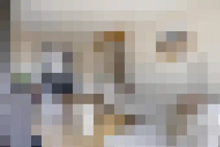 Lijsterbesstraat 19 Opheusden thumbnail 8
