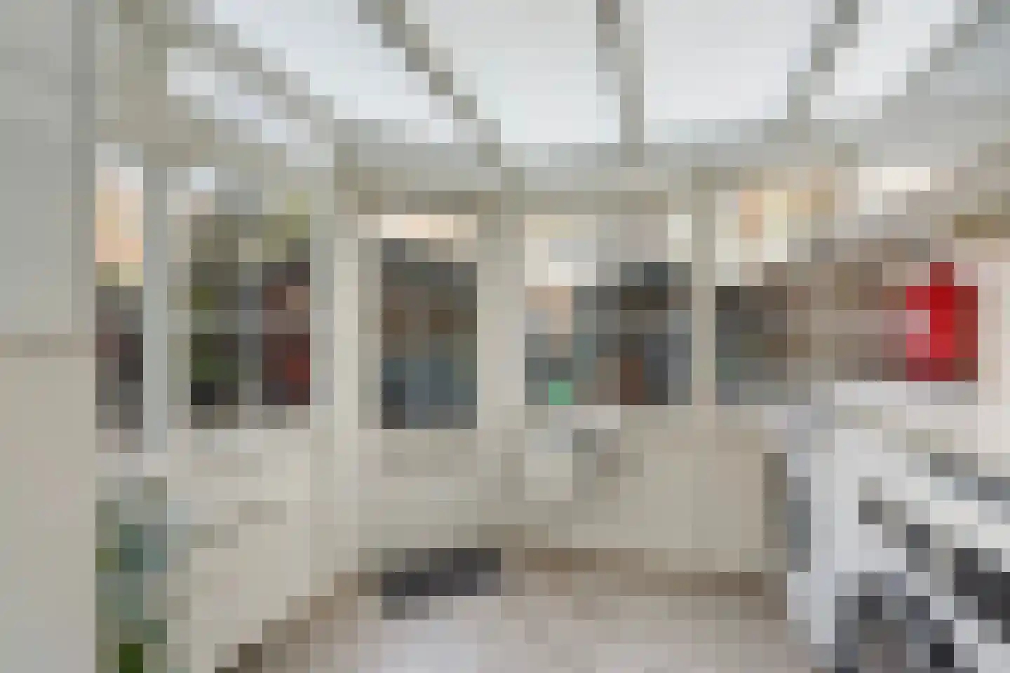 Lijsterbesstraat 199 Den Haag thumbnail 16