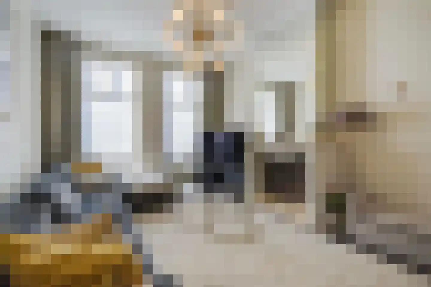 Lijsterbesstraat 199 Den Haag thumbnail 17