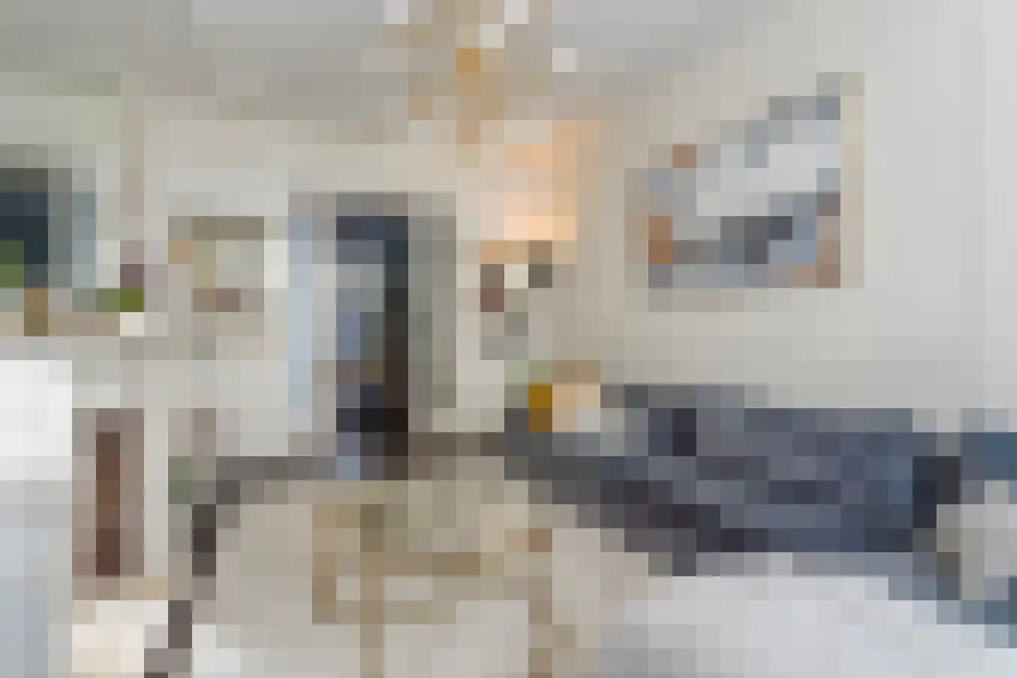 Lijsterbesstraat 199 Den Haag thumbnail 19