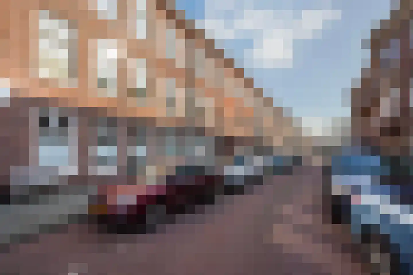 Lijsterbesstraat 199 Den Haag foto 2