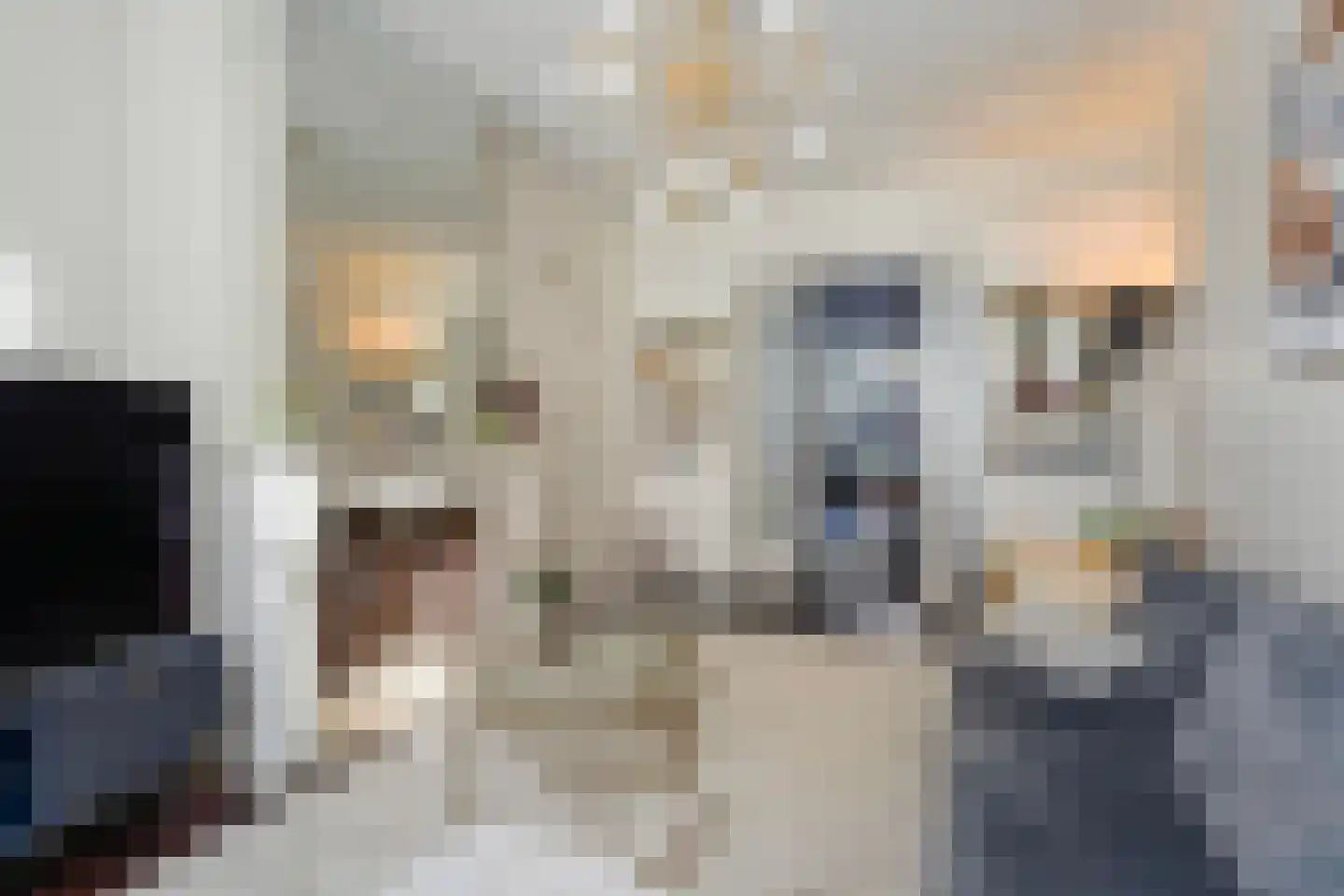 Lijsterbesstraat 199 Den Haag thumbnail 20