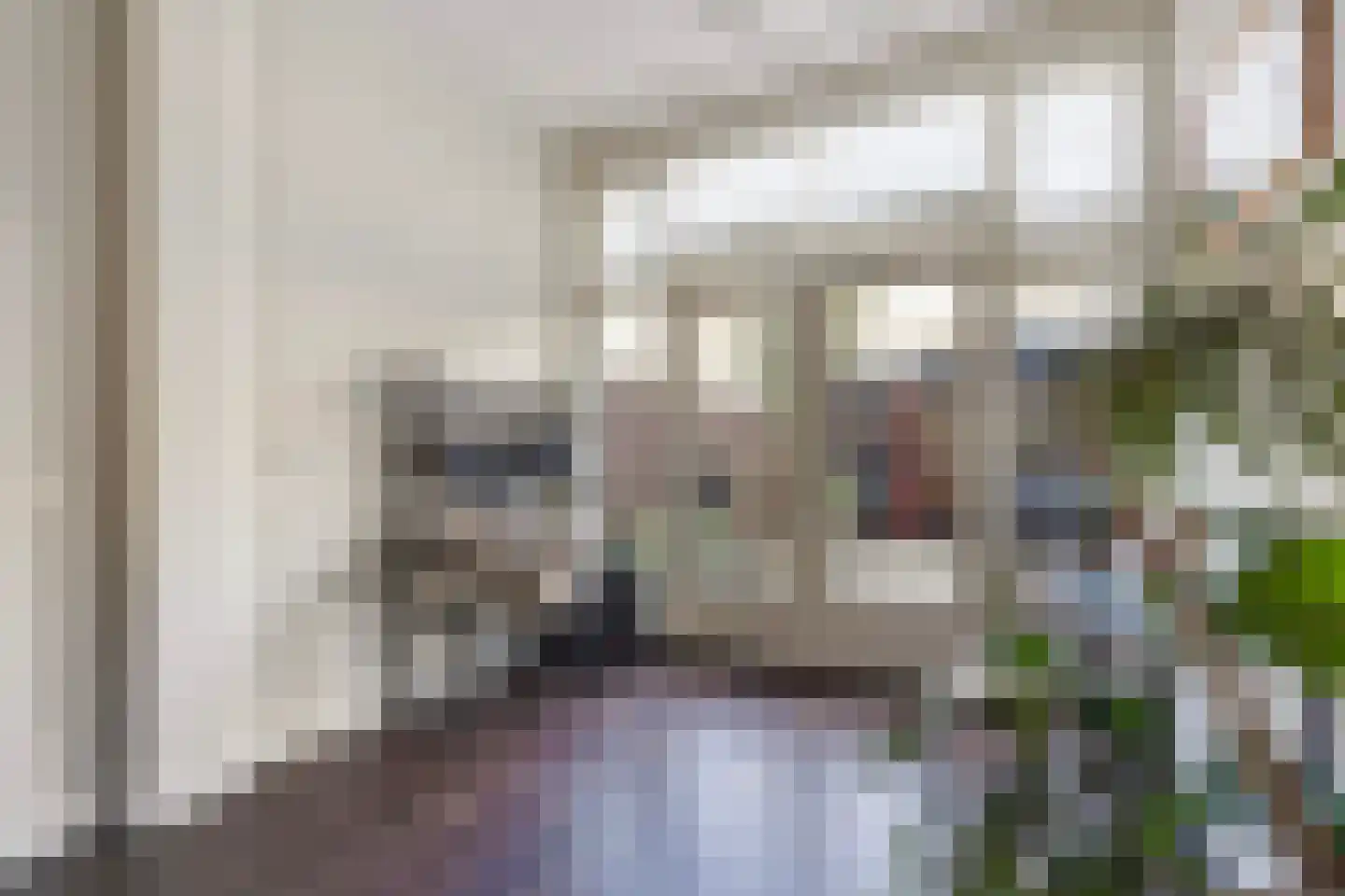 Lijsterbesstraat 199 Den Haag thumbnail 24