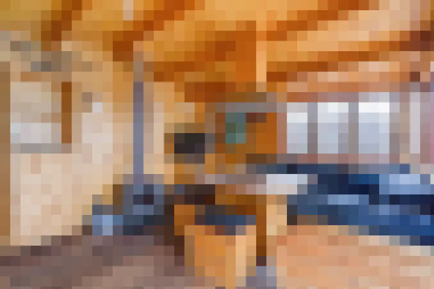 Lijsterbesstraat 199 Den Haag thumbnail 33