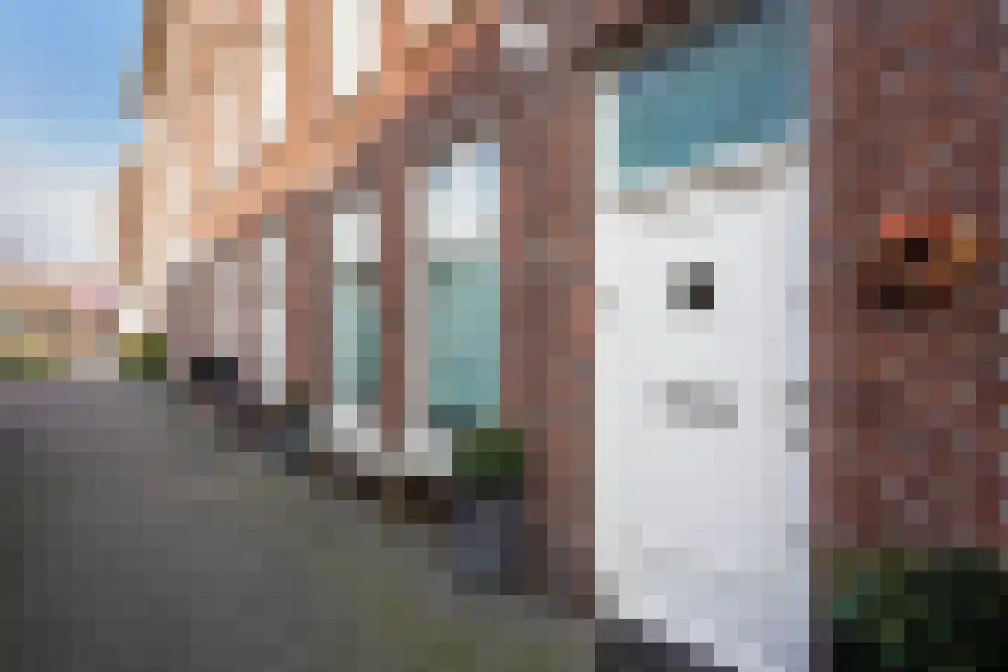 Lijsterbesstraat 199 Den Haag thumbnail 4