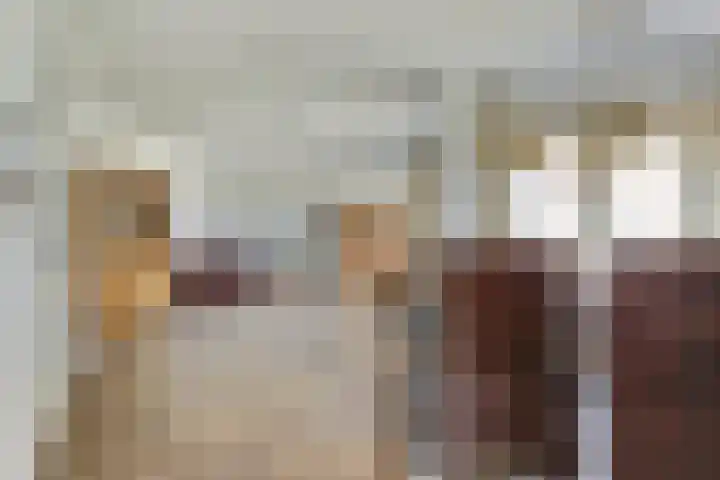 Lijsterbesstraat 2 b Enkhuizen thumbnail 11