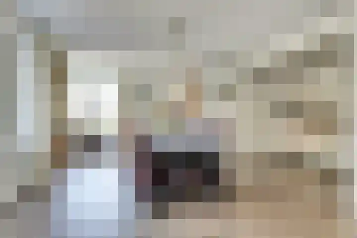 Lijsterbesstraat 2 b Enkhuizen thumbnail 12