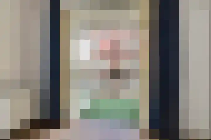 Lijsterbesstraat 2 b Enkhuizen thumbnail 20