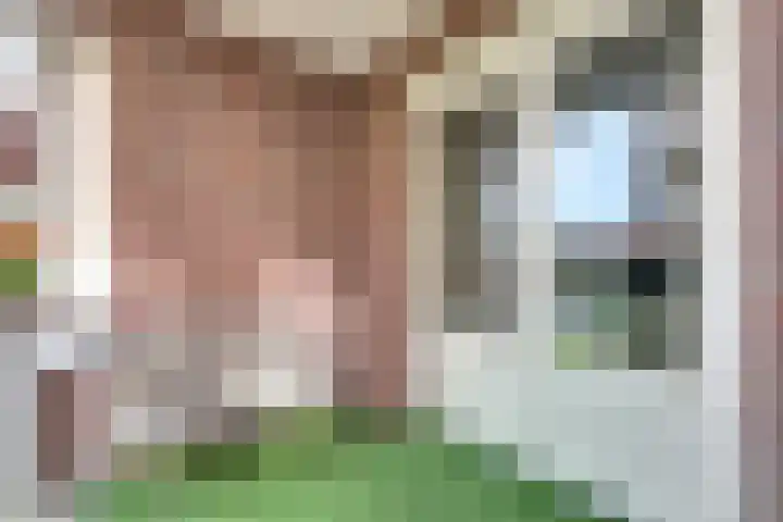 Lijsterbesstraat 2 b Enkhuizen thumbnail 22