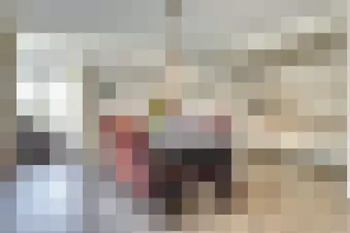 Lijsterbesstraat 2 b Enkhuizen thumbnail 4