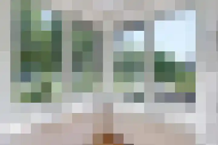 Lijsterbesstraat 2 c Enkhuizen thumbnail 19