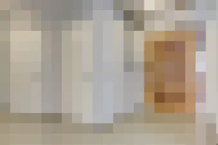 Lijsterbesstraat 2 c Enkhuizen thumbnail 29