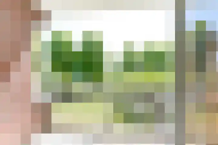 Lijsterbesstraat 2 c Enkhuizen thumbnail 31