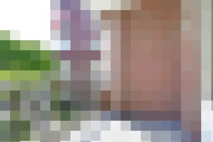 Lijsterbesstraat 2 c Enkhuizen thumbnail 32