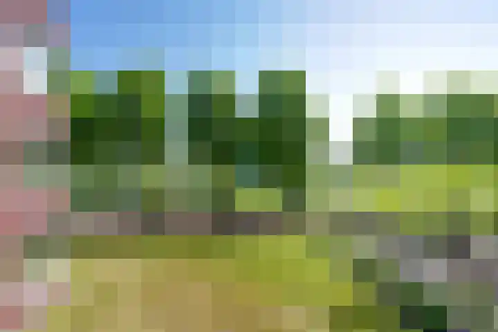 Lijsterbesstraat 2 c Enkhuizen thumbnail 33