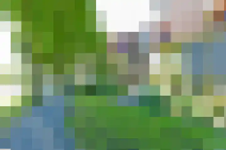 Lijsterbesstraat 2 c Enkhuizen thumbnail 36