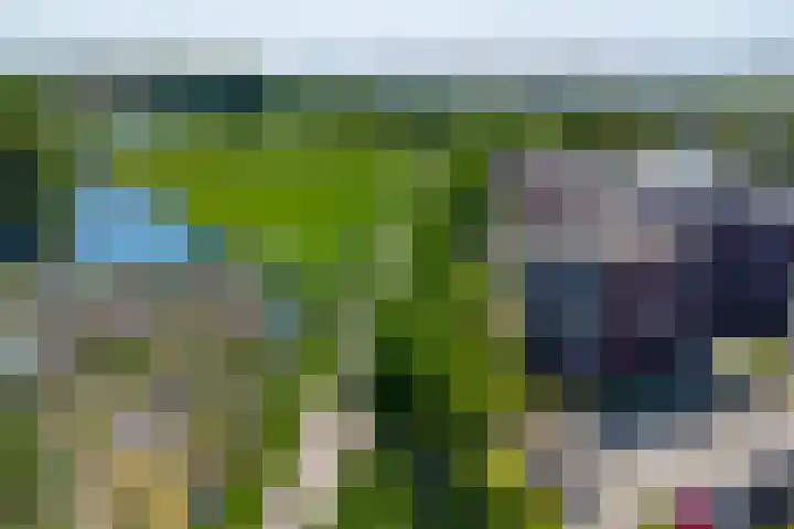 Lijsterbesstraat 2 c Enkhuizen thumbnail 4