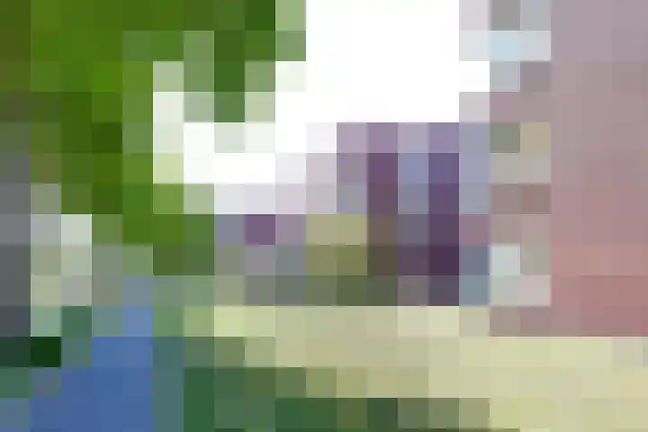 Lijsterbesstraat 2 c Enkhuizen thumbnail 6