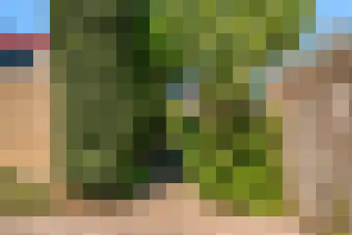 Lijsterbesstraat 2 Driebruggen thumbnail 21