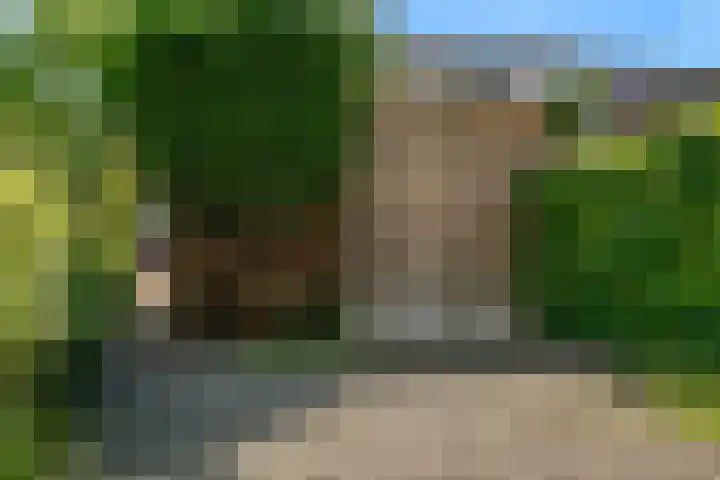 Lijsterbesstraat 2 Driebruggen thumbnail 22