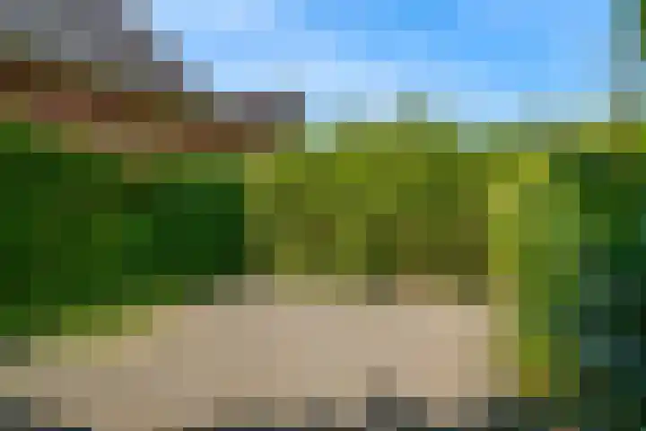 Lijsterbesstraat 2 Driebruggen thumbnail 23