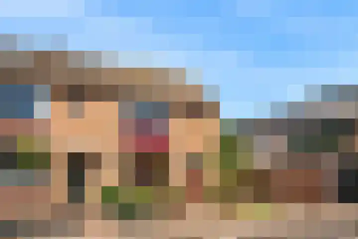 Lijsterbesstraat 2 Driebruggen thumbnail 24