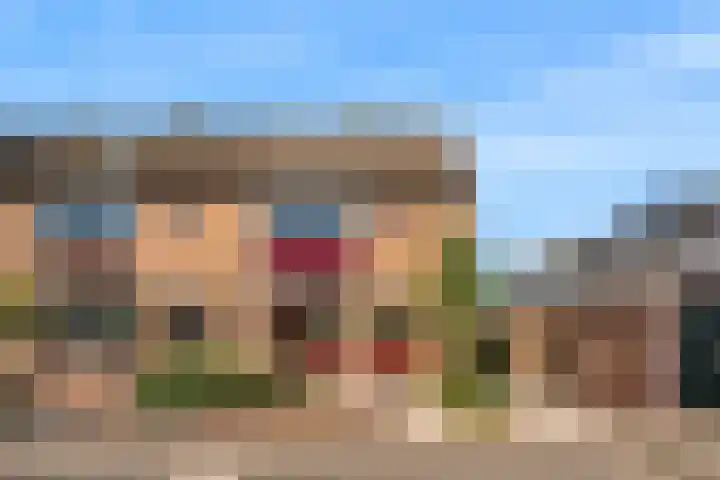 Lijsterbesstraat 2 Driebruggen thumbnail 25