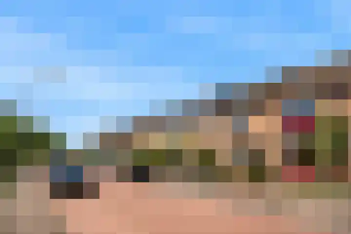 Lijsterbesstraat 2 Driebruggen thumbnail 26