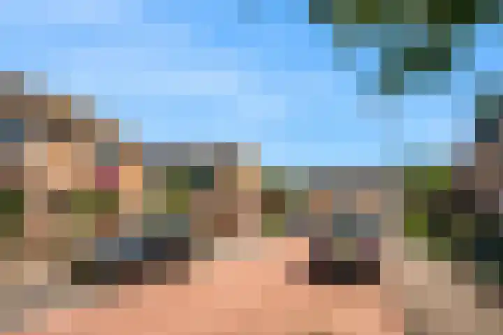 Lijsterbesstraat 2 Driebruggen thumbnail 27