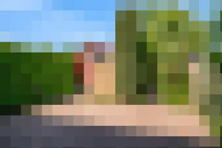 Lijsterbesstraat 2 Driebruggen thumbnail 4