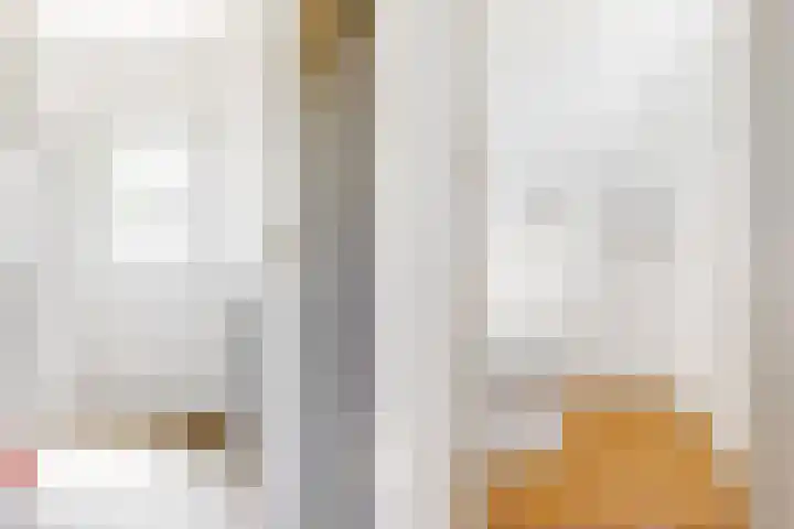 Lijsterbesstraat 2 Driebruggen thumbnail 5